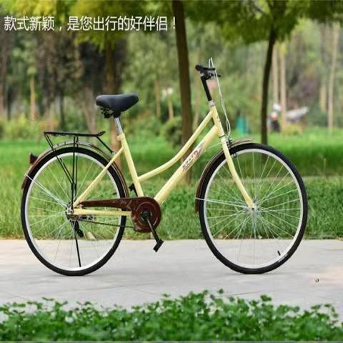 [24 pouces] Princesse Rose