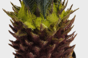 Cheap Price 60CM <strong>2</strong> Feet Tall Fake <strong>Tree</strong> Potted Artificial Bonsai Plants Sago Cycas Artificial Cycas Palm <strong>Tree</strong> With 21pcs Leaves - Product Image 3