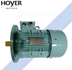 Motores Hoyer IE3 de 220/380/415/440/660 V, 45 kW, 75 kW, 90 kW, 1000 RPM, Motor de Inducción Trifásico, IP55 TEFC, 50/60 Hz - Product Image 6
