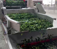 Machine de congélation en tunnel automatique IQF industrielle continue pour perles de tapioca, boules de riz glutineux Tangyuan