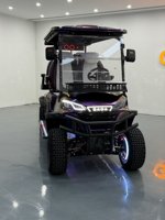 Voiturette de golf électrique surélevée sur mesure, chariot électrique de tourisme sur mesure avec sièges en cuir