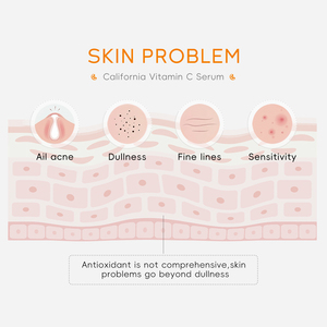 Sérum Visage LAIKOU en Promotion : Sérum Éclaircissant Beauté au Vitamine C avec Vitamine E et Acide Hyaluronique pour le Visage - Product Image 5