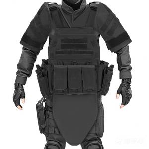 2026 タクティカルアーマーベストセット 肩/腕/股プロテクター + フルプロテクティブプレートキャリア 狩猟訓練コスプレ用 - Product Image 2