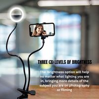 Anneau lumineux LED pour selfie de 4 pouces avec clip de bureau et support de téléphone portable, éclairage à 360 degrés du fabricant
