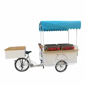Elettrico 3 Ruote Cargo Bike con Congelatore Commerciale Gelato Vending Carrello Personalizzato Triciclo con Certificazione CE