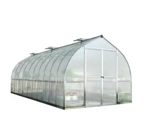 Lyine Commercial Large Agriculture Greenhouse Vegetable growth, potato growth system Good Quality And Easily Installed