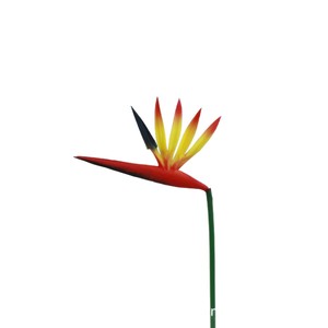Plante artificielle en caoutchouc souple PU, oiseau de paradis Jingyuan, pour décorations de mariage - Product Image 2