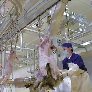 Halal Sheep Slaughterhouse Machine For Ram Turnkey Slaughter Abattoir Plant