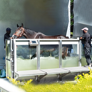 Fabricante de Caminadoras Acuáticas para Hidroterapia, Equipo para Rehabilitación de Caballos, Terapia Subacuática Veterinaria Equina - Product Image 6