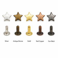 Clous décoratifs en métal Deepeel XP406 Star Rivet avec outils pour sacs en cuir, vêtements, chaussures, ceintures, accessoires de bricolage
