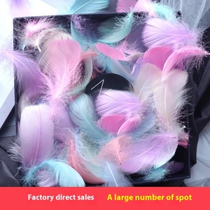 Trang Trí Lông Tự Làm Nổi Nhuộm Ngỗng Lông Giấc Mơ Bắt Sóng Bóng Hộp Quà Tặng Làm Đầy Vật Liệu Trang Trí Bán Buôn - Product Image 2