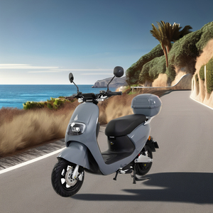 Motocicleta de Alta Potencia 60V 2000W 45Km/H Color Negro Mate con EEC COC - Product Image 4