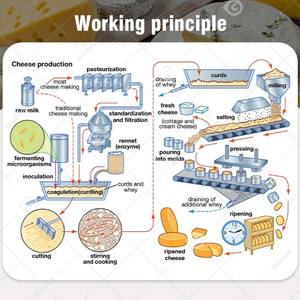 Litre 200, taille 50, petit <span class=keywords><strong>mascarpone</strong></span>, litre 20000, ligne de production, machine à presser le fromage halloumi - Product Image 2