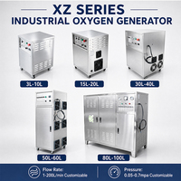 Hochreines 15L 20L PSA Sauerstoffkonzentrator-Generatorsystem Industrielle Sauerstoffmaschine
