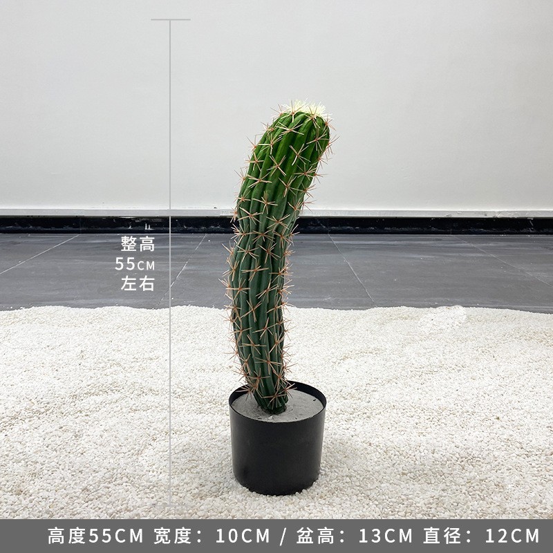Cactus mexicain - 55CM (livré avec base noire)