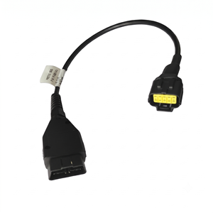 Câble de diagnostic OBD2 mâle 16 broches vers ECO 10 broches pour camions et bus Ashok Leyland BS6 - Product Image 2