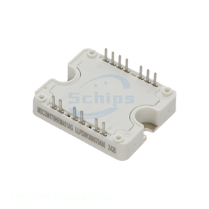Buy Electronics Components Online Module MSCSM170HRM451AG Transistors In Stock - Product Image 1