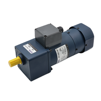 Moteur à induction monophasé haute efficacité 220V avec réducteur de vitesse 120W IE3 60Hz