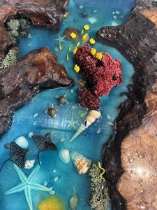 โต๊ะกาแฟเรซิ่นสีฟ้ามหาสมุทร 3 มิติ รุ่น WHOLESALE 2026 พร้อมของตกแต่งรูปสัตว์ทะเล ไม้วอลนัทธรรมชาติ สำหรับห้องนั่งเล่นระดับไฮเอนด์ - Product Image 3