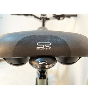 Roadsan Vélo Électrique Léger de Haute Qualité avec Batterie Centrale 48V 15AH, Autonomie 60km, Cadre Aluminium 750W, Modèle Alps M9, Roadsan OD - Product Image 6