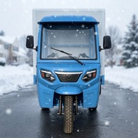 Tricycle cargo électrique à trois roues, fourgonnette fermée, moteur 2000W, trike de livraison à charge lourde pour la logistique et la livraison express