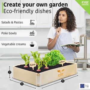 Kits <span class=keywords><strong>de</strong></span> jardín <span class=keywords><strong>de</strong></span> Interior <span class=keywords><strong>de</strong></span> autorriego contemporáneo para adultos, <span class=keywords><strong>macetas</strong></span> y jardineras para colgar en el suelo para cultivar tus propias verduras - Product Image 6