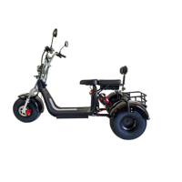 Sıcak Fırsatlar 2000W Güçlü Elektrikli Citycoco 45km/s 3 Tekerlekli Chopper Elektrikli Scooter Yetişkinler İçin