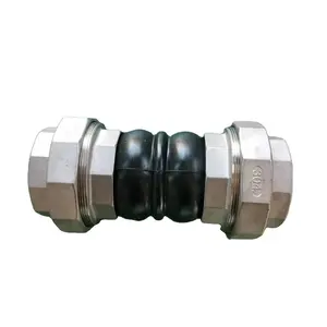 304 Stainless Steel EN1092 PN16 BSP Threaded Union Double Sphere Flexible Rubber Expansion Joint