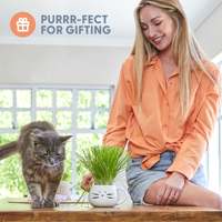 Kit de culture d'herbe pour animaux de compagnie avec herbe pour chat, pot à herbe pour chat blanc, cubes d'herbe pour chat, y compris du terreau