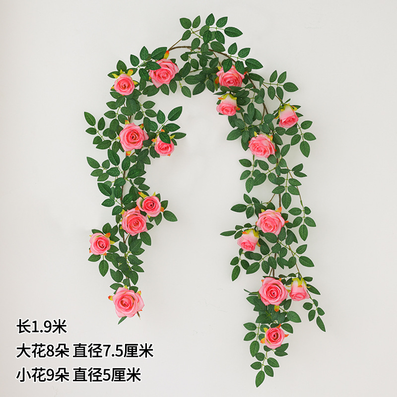 rose vine pink