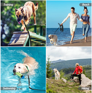 Long Solid Dog Leash Small Large Dogs Cats Strong Puppy <b>Training</b> Traction Rope Portable Pet <b>Lead</b> Golden Retriever - Product Image 2