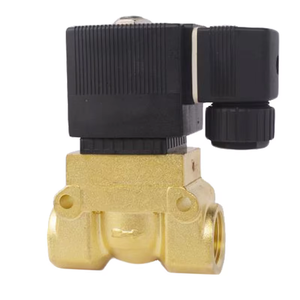 1 дюйм 5404 2/2 путь 50 бар 5 мПа высокотемпературный латунный электромагнитный клапан высокого давления сервопривод Поршневой клапан 12 В 24 В 110 В 220 В - Product Image 3