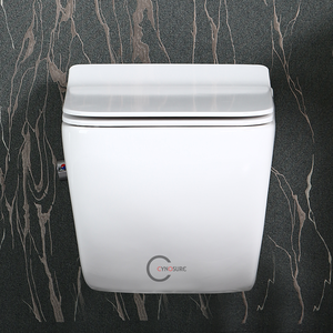 Модный Белый Новый дизайн настенный унитаз с оплеткой и биде - Product Image 3