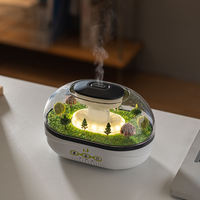 Diffuseur d'arômes Raindrop Micro Landscape, diffuseur d'huiles essentielles portable en plastique, humidificateur ultrasonique à brume fine pour le bureau, la maison, la voiture, grand modèle