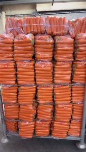 Hữu cơ trồng rau tươi bán buôn cà rốt/tỏi hạt giống giá của cà rốt/tỏi - Product Image 5