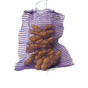 Bán hàng nóng Apple tỏi Net vẽ chuỗi nhựa chanh khoai tây lưới túi cho bao bì