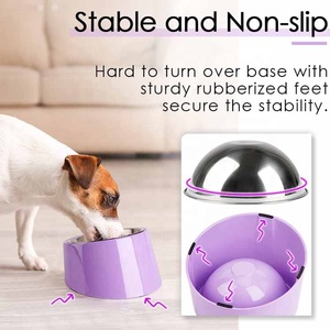 Tazón para Perros de Acero Inoxidable al por Mayor, Diseño Superior, Tazón para Mascotas Mejorado, Ecológico, Inclinado, Estilo Amoroso, Suministros para Mascotas - Product Image 4