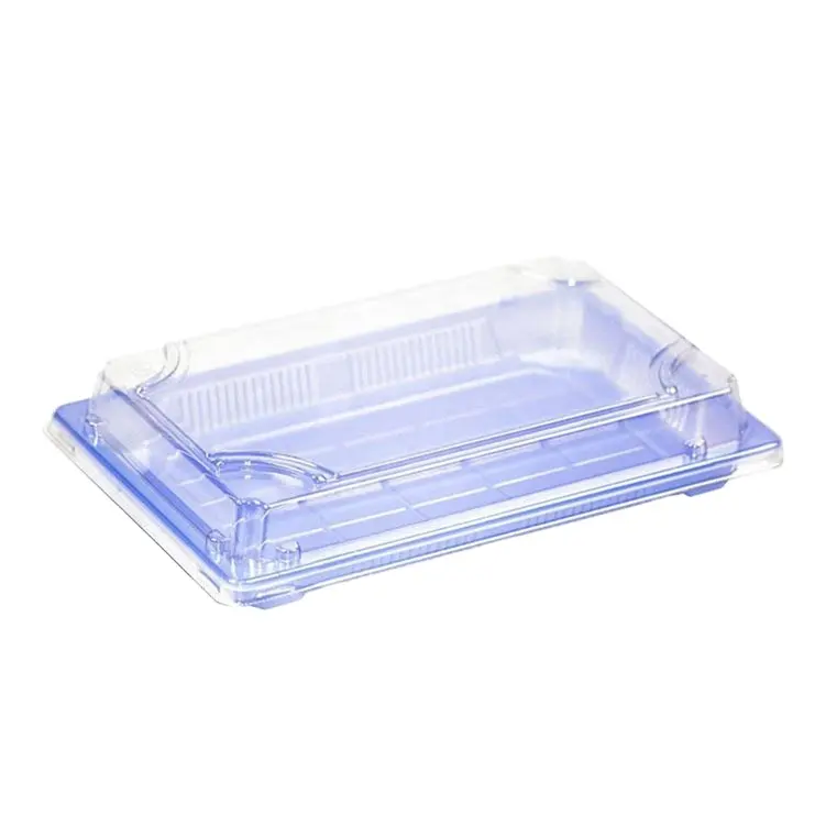 Recyclable Packing Fast Food Delivery Party Platter Food Box Disposable Sushi Tray With Antifog Lids