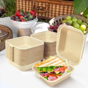 6 Zoll Bagasse Clamshell To-Go 450ml Klappbare <span class=keywords><strong>Burger</strong></span>-<span class=keywords><strong>Box</strong></span> Biologisch Abbaubare Lebensmittelgeeignete Lebensmittelsichere Take-Away-Behälter - Product Image 6