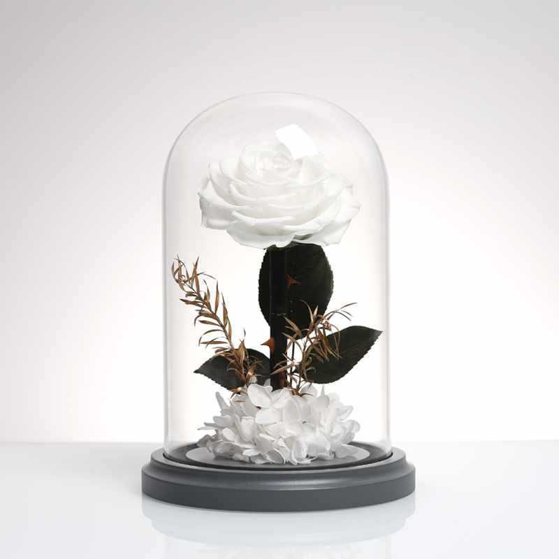 Bianco-1