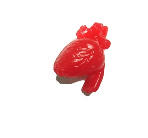 Bola otak plastik edukasional obat - Product Image 3