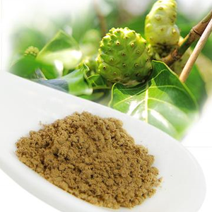 Hữu Cơ Đóng Băng Khô <span class=keywords><strong>Noni</strong></span> Bột Măng Cụt <span class=keywords><strong>Noni</strong></span> Enzyme Bột Trái Cây Indonesia Hawaii <span class=keywords><strong>Noni</strong></span> Nước Ép Trái Cây Lá Chiết Xuất Bột - Product Image 5