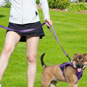 TUK TOOX Nylon <b>Dog</b> <b>Leash</b> 6FT Padded Reflective Handle Solid Purple for Medium <b>Dogs</b> - Product Image 6