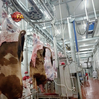 Équipement d'abattage de bovins, ligne d'abattage et de saignée pour abattoir, machine de boucherie pour taureaux, usine de transformation de viande bovine, conforme HACCP