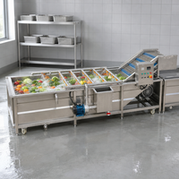 Machine de lavage commerciale pour légumes (peterselie, raisin, laitue iceberg, poivron, piment, poire, pomme, céleri)