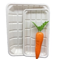 Plateau alimentaire jetable en pulpe de canne à sucre biodégradable pour viande, poisson, repas, sushis