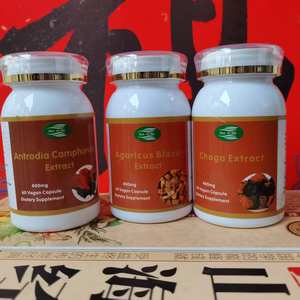 Бесплатная доставка: 3 флакона порошка экстракта гриба Антродия чага (Agaricus) с 30% полисахаридов в капсулах - Product Image 4