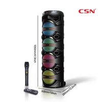 CSN-XH8458 Enceinte trolley 4x8 pouces en gros d'usine, longue autonomie de batterie, lumière LED RGB, pour fêtes en extérieur, karaoké, TWS, OEM ODM