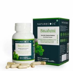 Capsules de Brahmi à base de plantes pures, à ingrédient unique, pour le soutien contre le stress et l'anxiété, capsules de Brahmi naturelles - Product Image 1