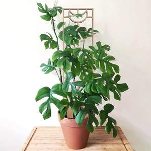 Treillis de jardin en bois Tailai en gros pour plantes grimpantes, pergola en bois pour plantes en pot, fleurs, vignes, entraînement à la <span class=keywords><strong>grimpante</strong></span> - Product Image 3